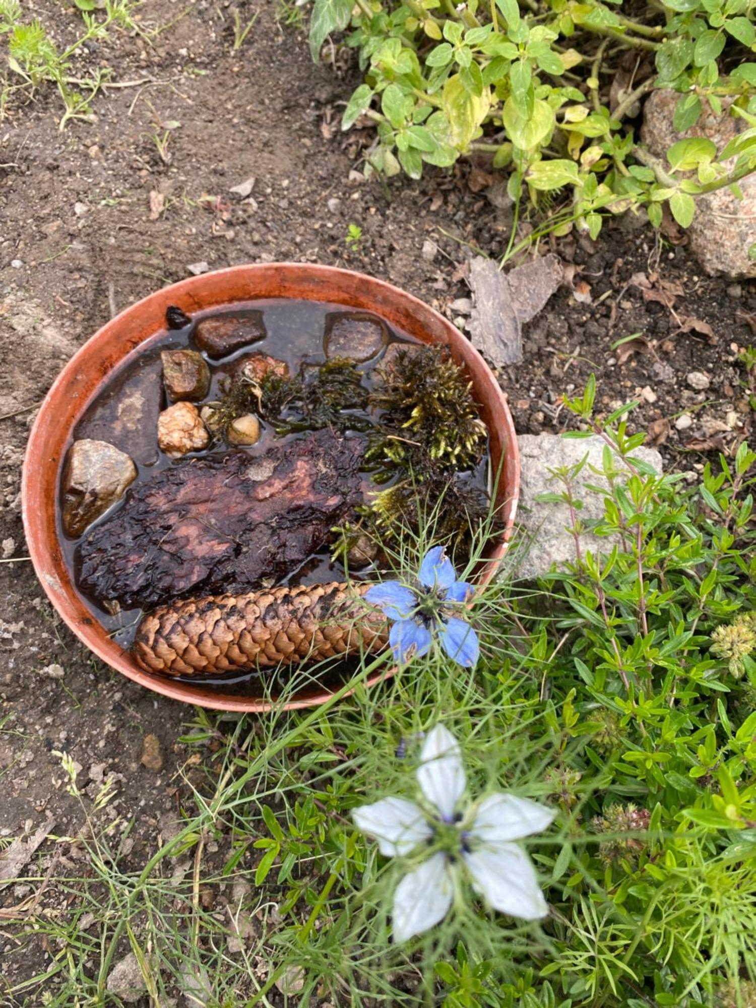 Domek Dzika Róża Szklarska Poręba Exterior foto